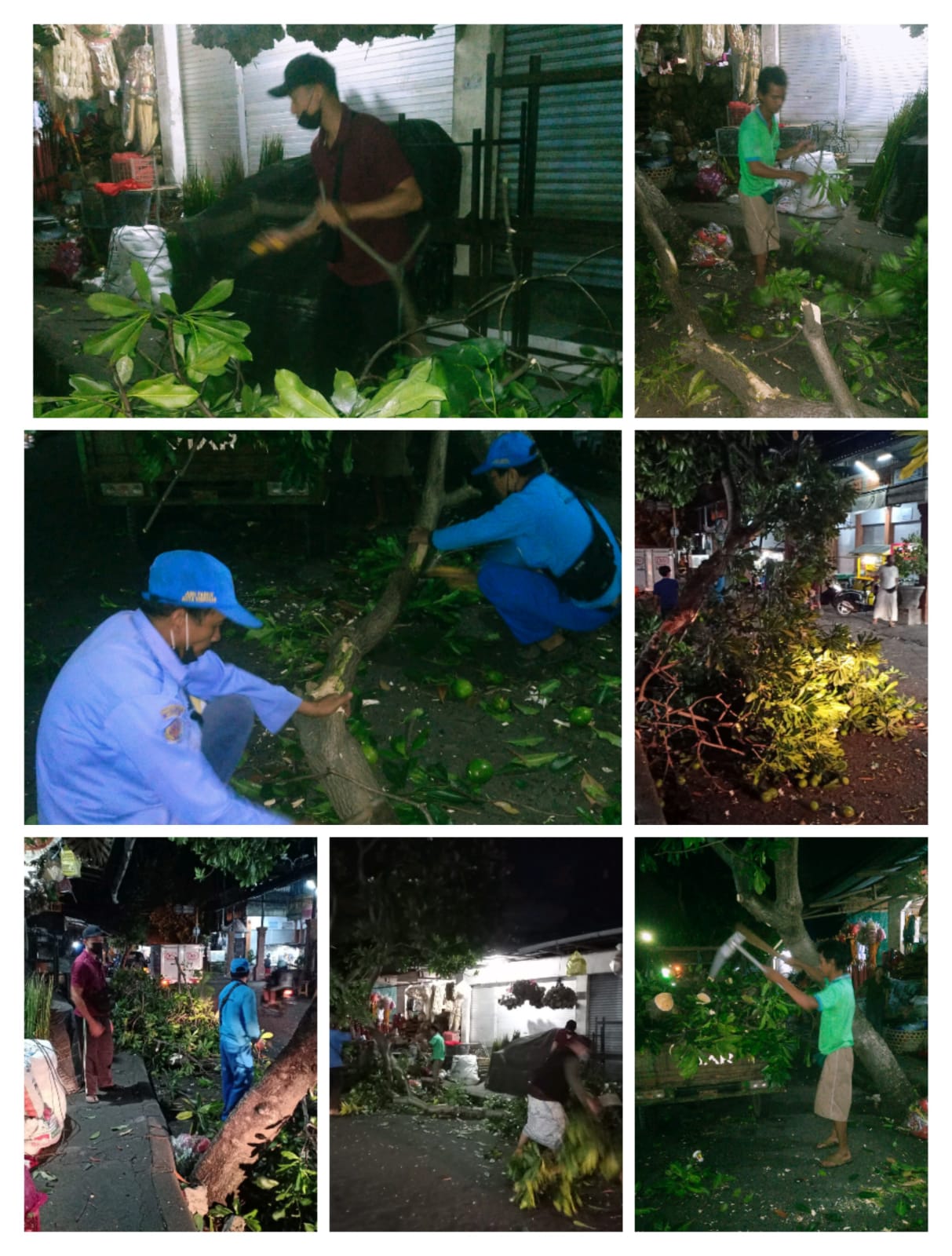 Penanganan pohon tumbang di depan pasar Ketapian