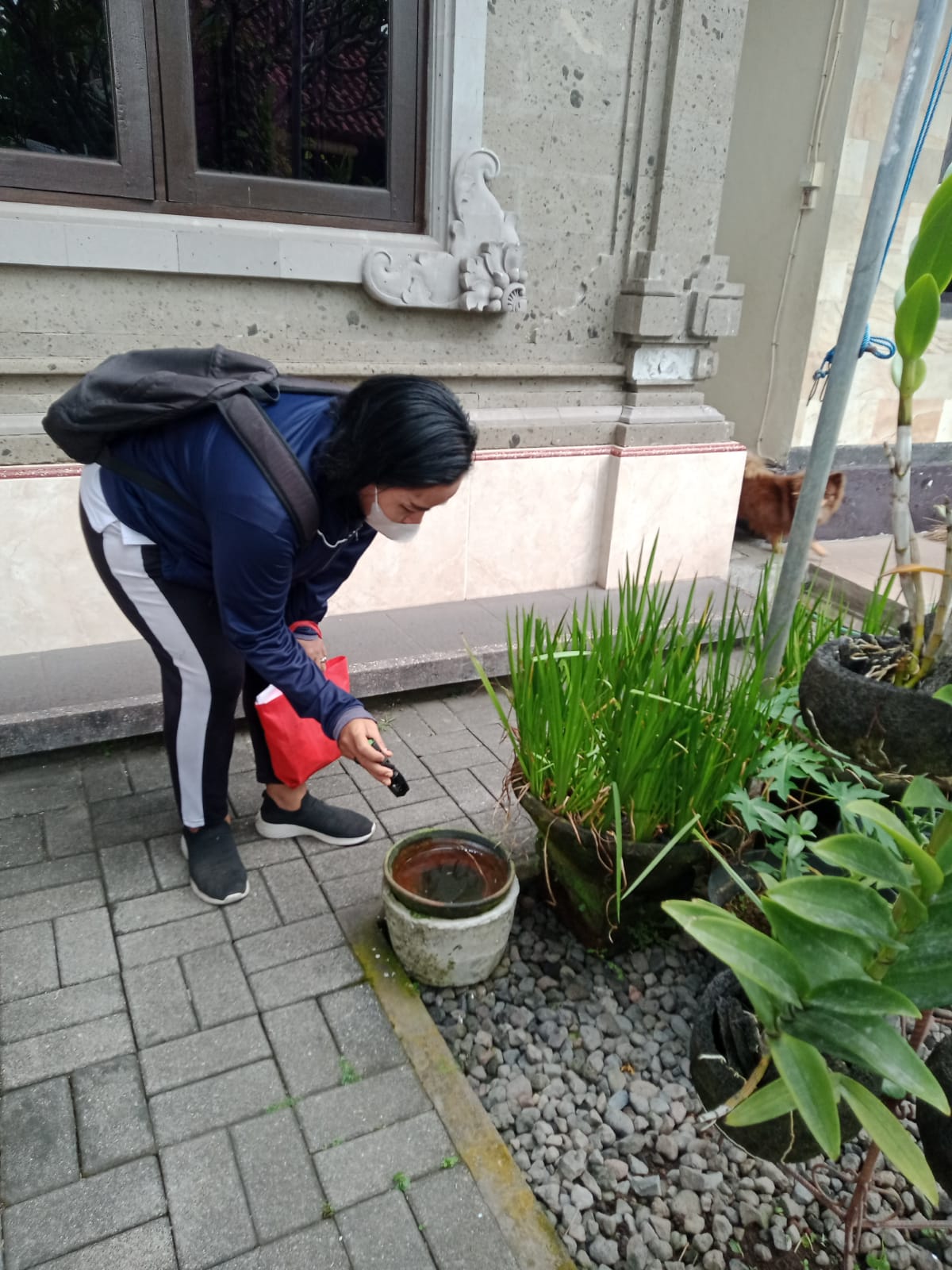 Optimalisasi Gerakan PSN 3M Plus Cegah DBD serta sosialisasi & edukasi protokol kesehatan Cegah Covi