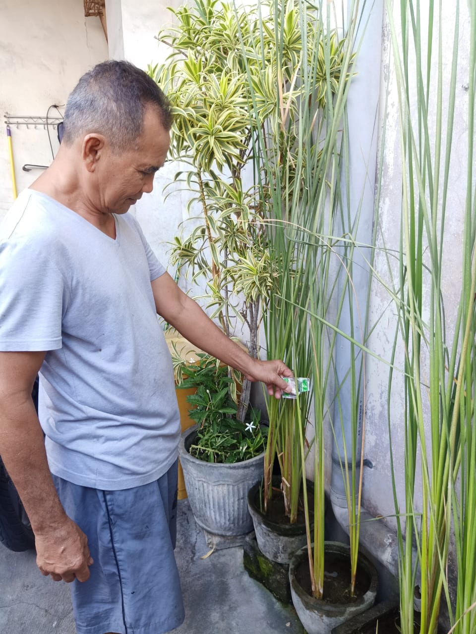 Optimalisasi Gerakan PSN 3M Plus Cegah DBD serta sosialisasi & edukasi protokol kesehatan Cegah Covi