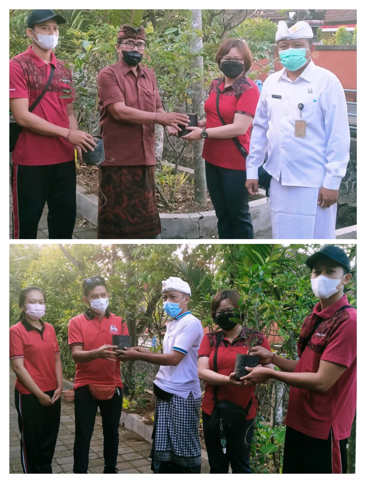 Penyerahan tanaman jempiring dari tim KBS unit kerja wilayah Kel. Sumerta