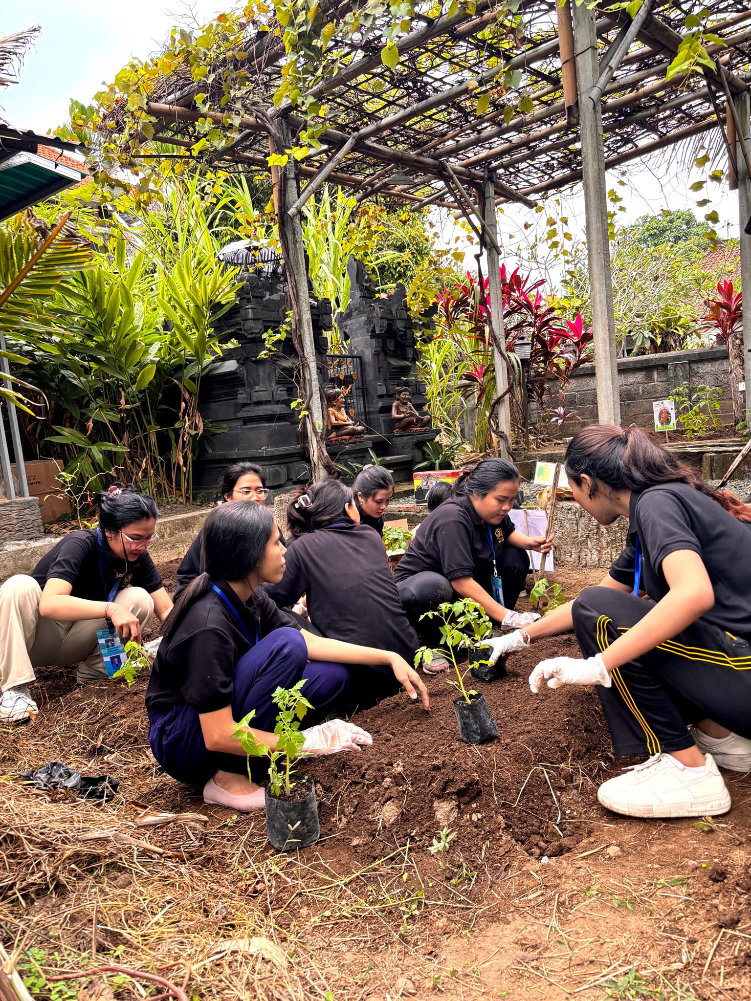 Penghijauan lahan pekarangan mandiri lestari melalui penanaman pohon/tanaman pangan pada kebun berda