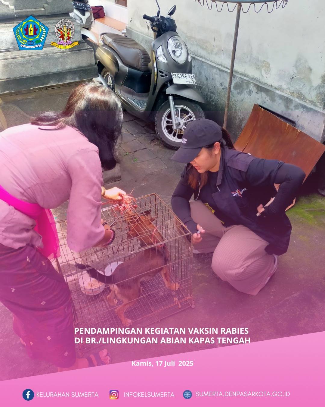 Pendampingan Vaksin Rabies fasilitasi Dinas Pertanian Kota Denpasar di Lingkungan/ Br. Abian Kapas T