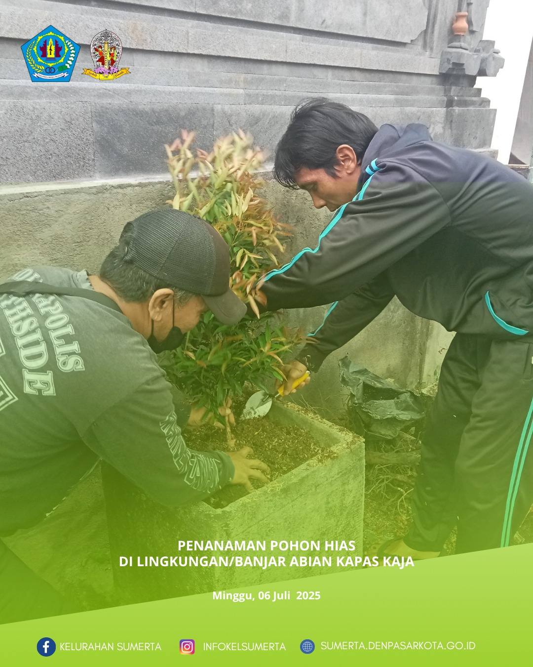 Penanaman pohon hias yg mendapatkan bantuan dari salah satu warga di Jl. Meduri, Lingkungan/banjar A
