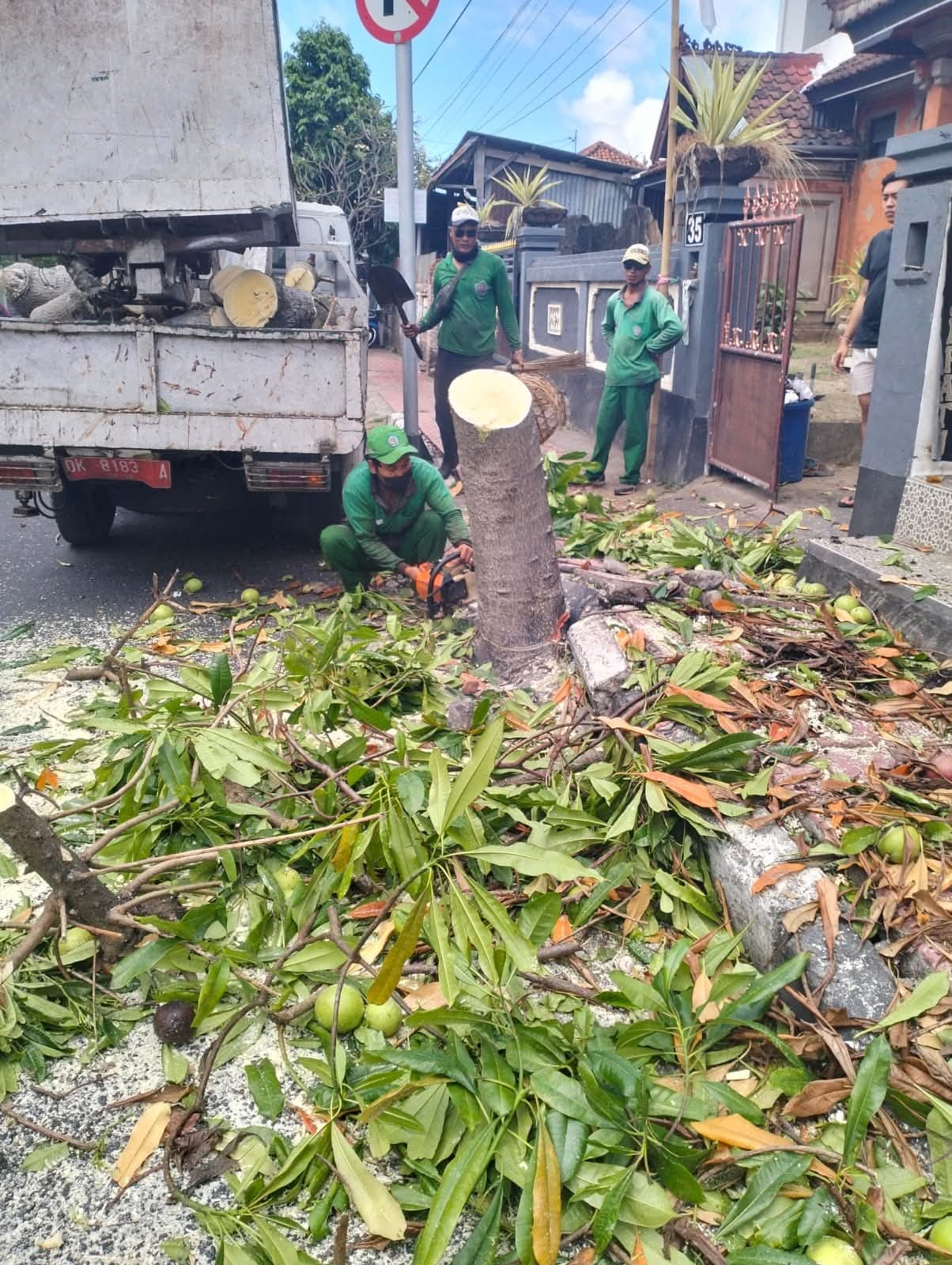 Pendampingan giat perompesan pohon di beberapa areal/ruas jalan Katrangan