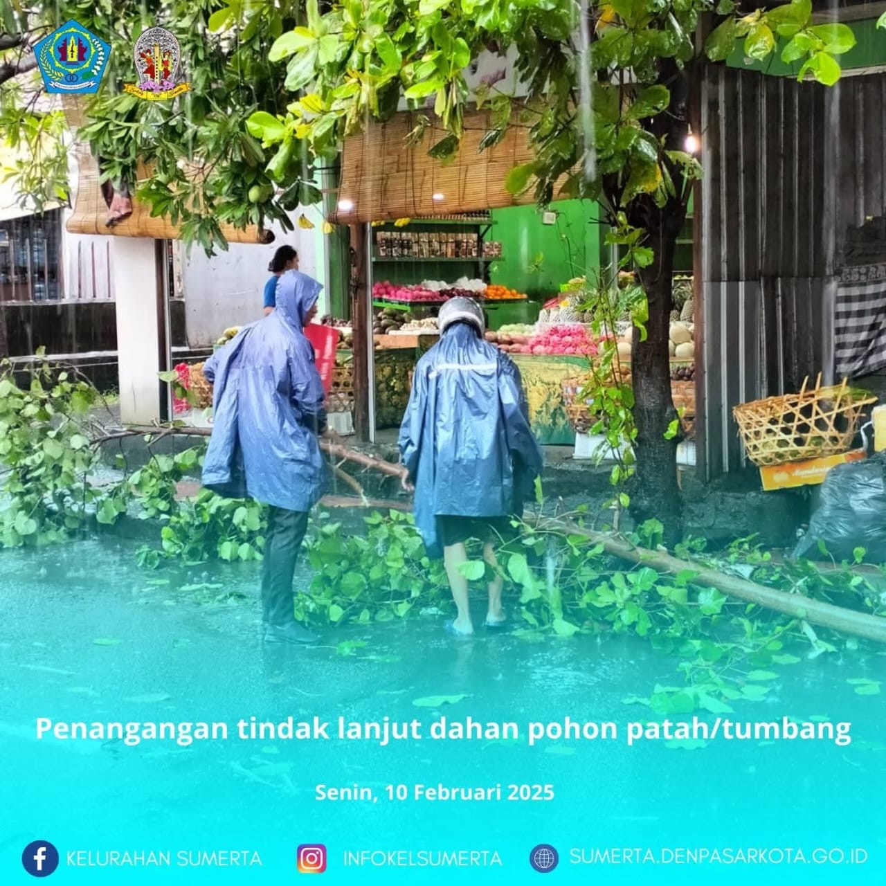 Penanganan Tindak lanjut dahan pohon tumbang di Area Kelurahan Sumerta bersama Kaling Ketapian Kelod