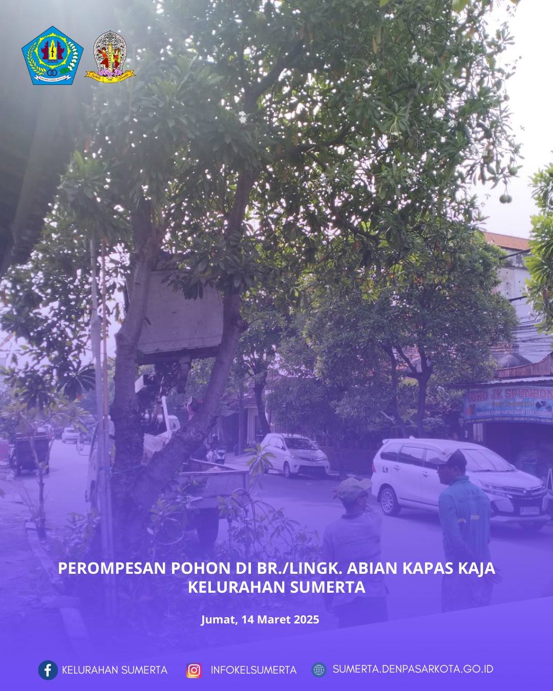 Pendampingan dan monitoring giat perompesan pohon di Jl. WR. Supratman No. 119 oleh Kepala Lingkunga
