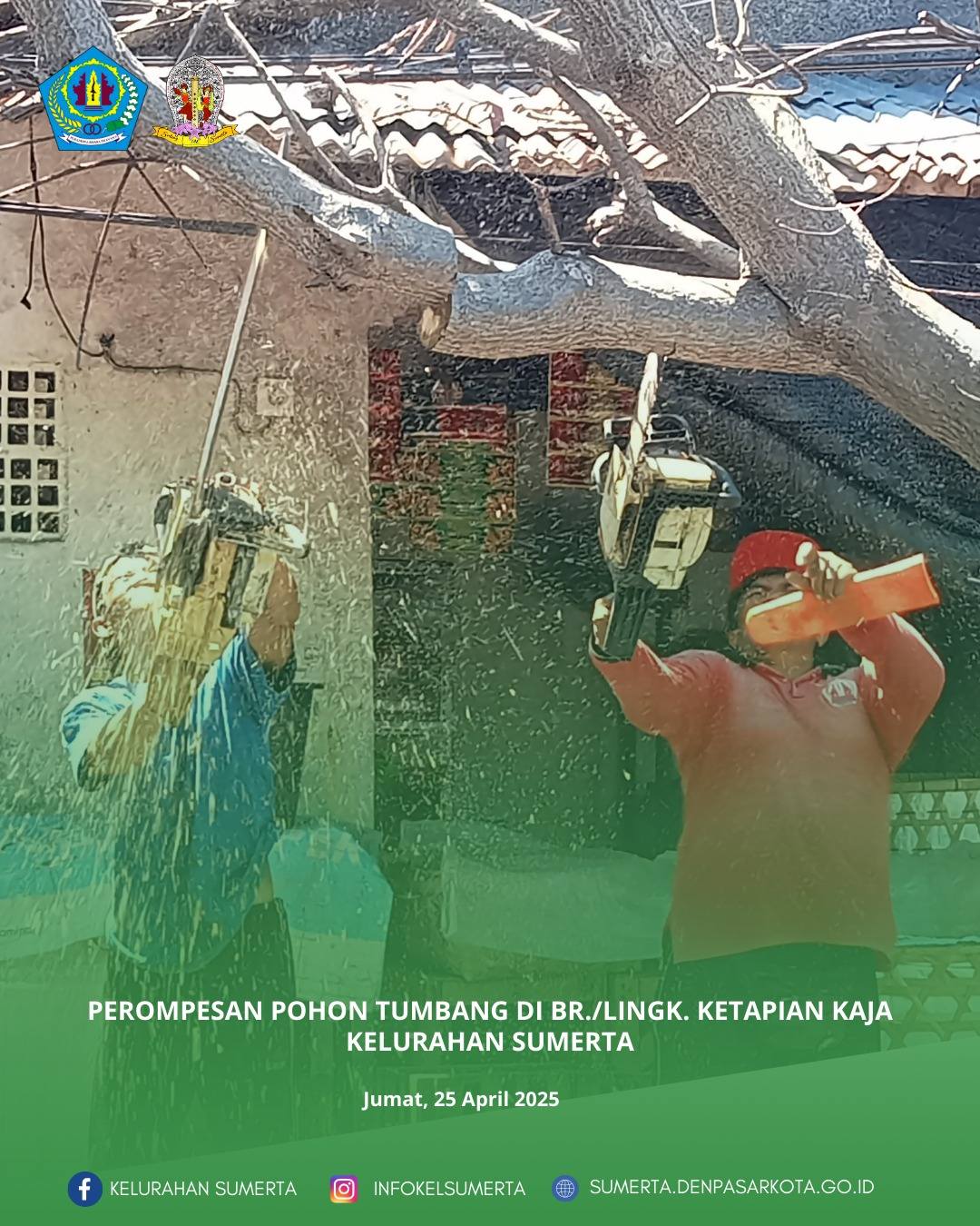 Giat penanganan pohon tumbang di ruas Jl. Katrangan (area pasar Ketapian)  yang difasilitasi penanga