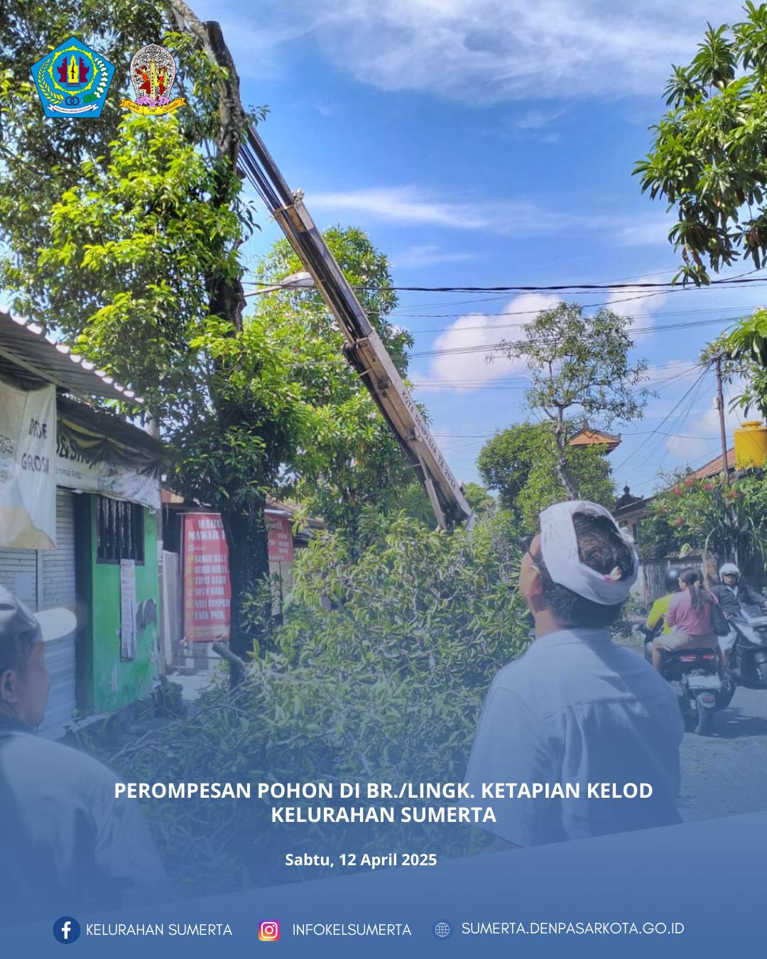 Pendampingan dan monitoring giat perompesan pohon di ruas Jl. Katrangan oleh Kepala Lingkungan Ketap