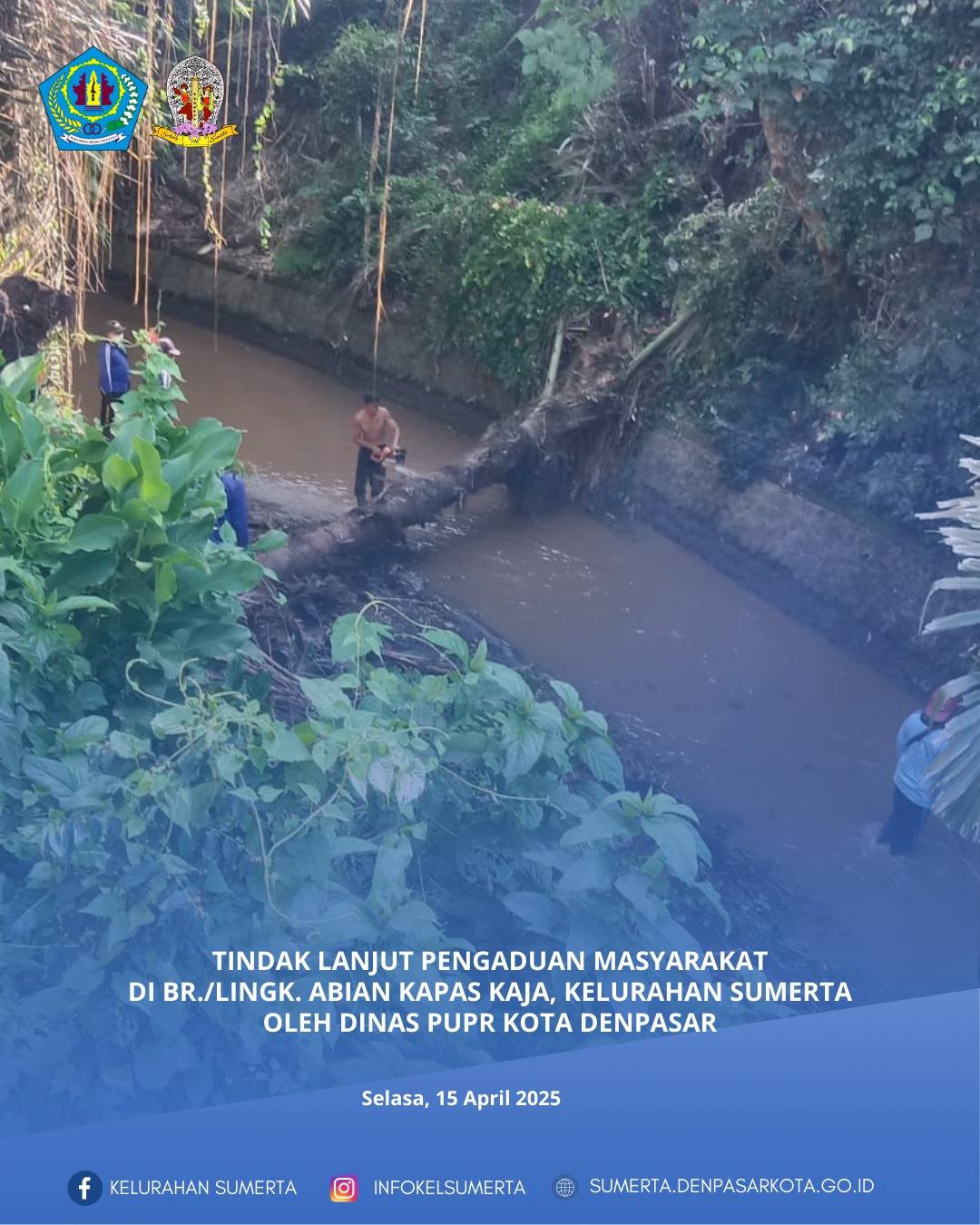 Tindak lanjut pengaduan masyarakat terkait keberadaan pohon besar di ruas Sungai Lobong Meduri (deng