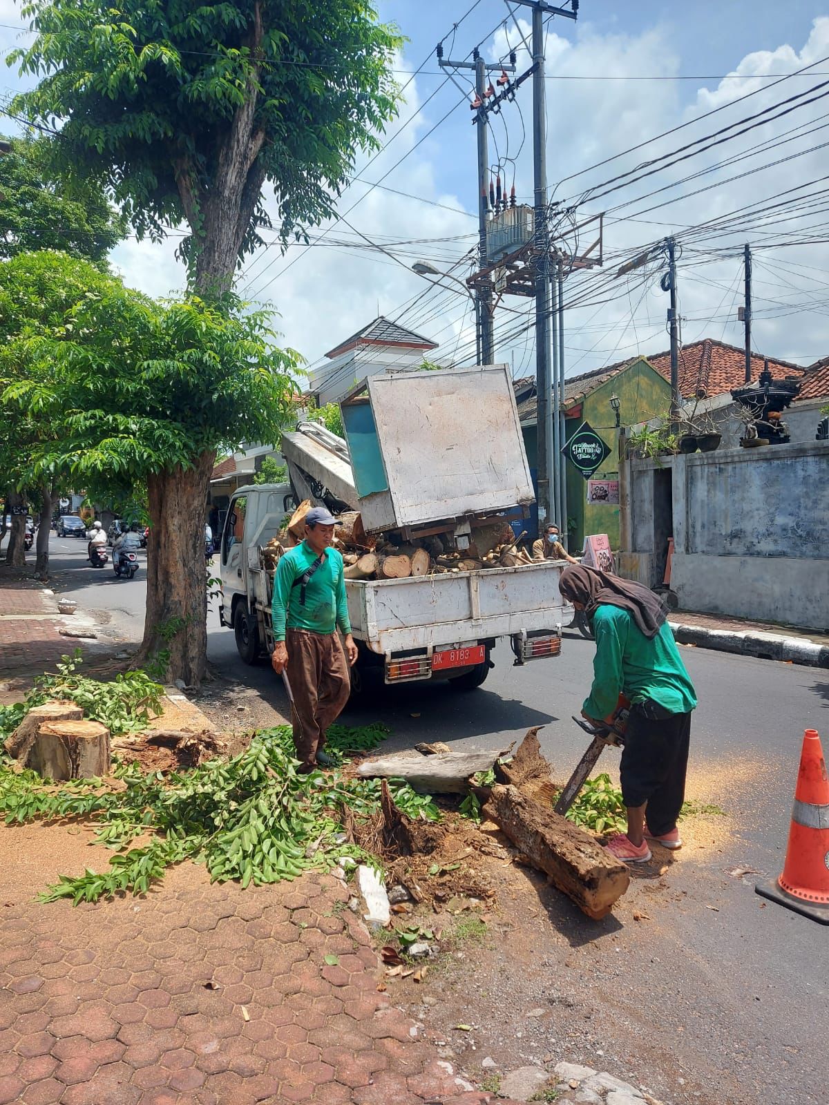 DLHK Kota Denpasar Pangkas Pohon Keropos di Kelurahan Sumerta