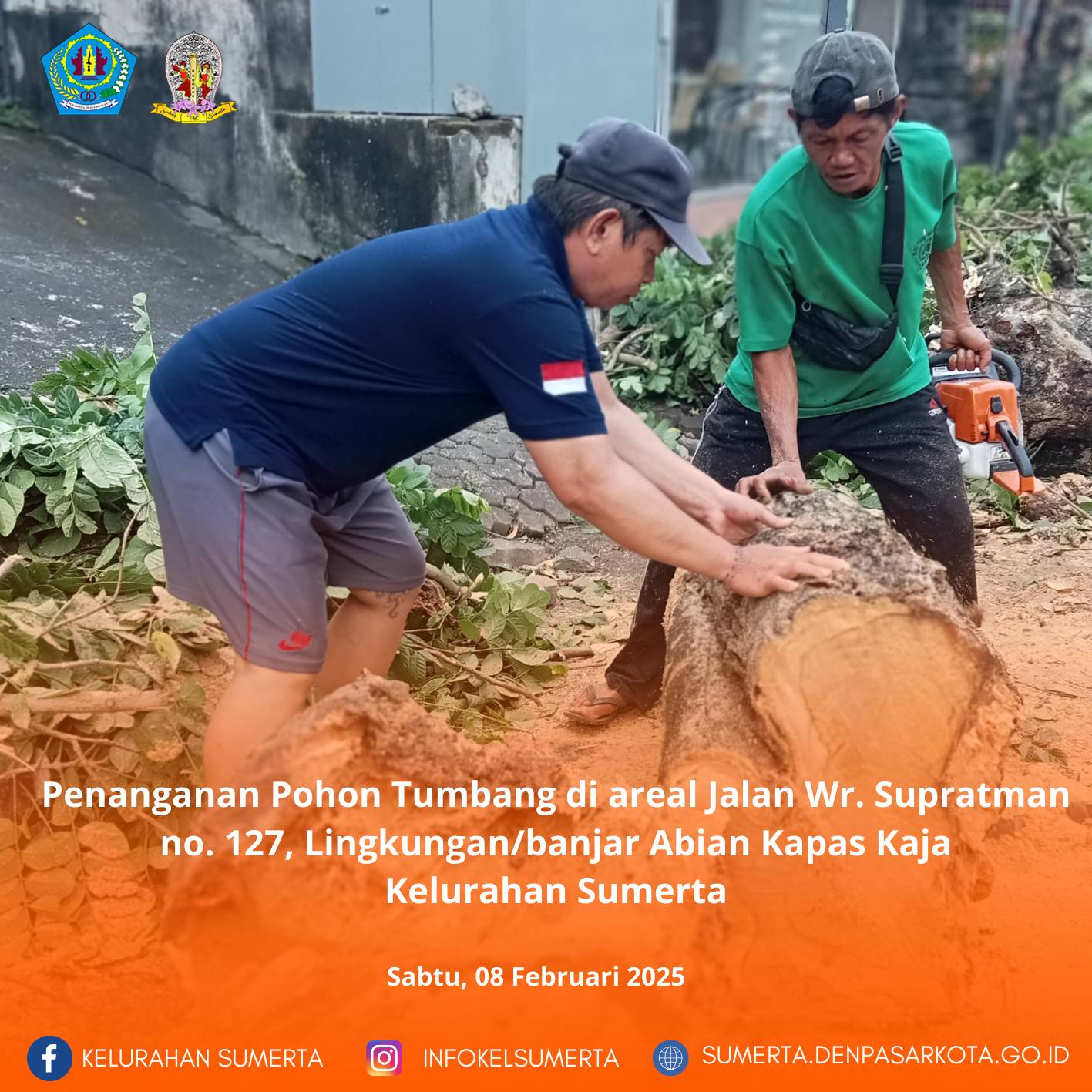 Upaya tindaklanjut penanganan pohon tumbang di areal Jalan Wr. Supratman no. 127